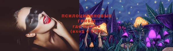 молекула духа Армянск