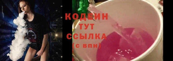 прущий лед Арсеньев