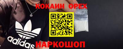 дмт Гатчина