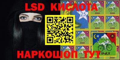 дмт Гатчина