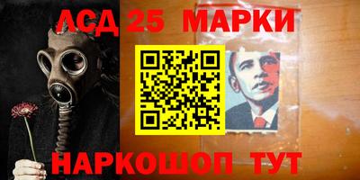 дмт Гатчина