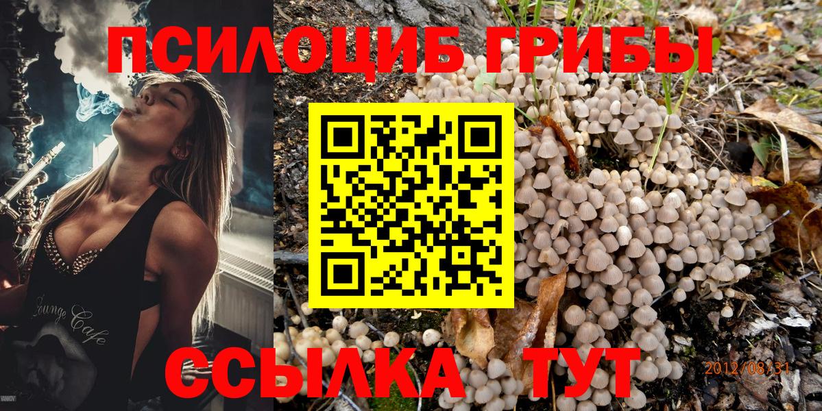 Псилоцибиновые грибы Magic Shrooms Кубинка